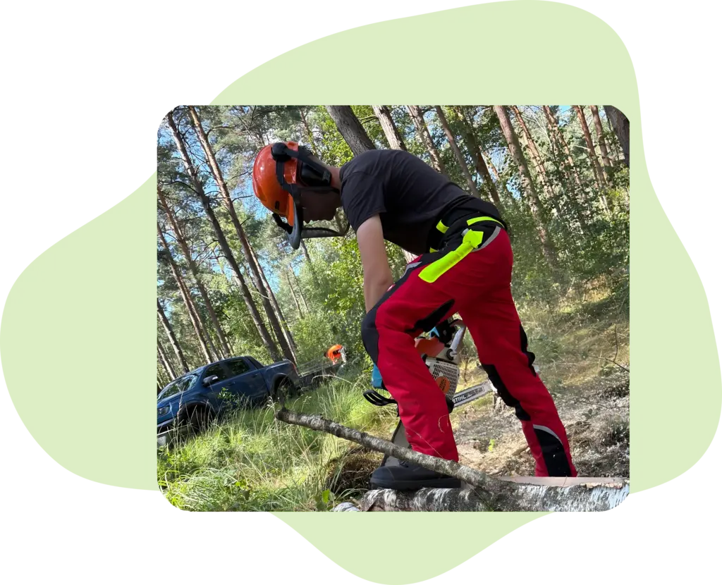 me forst dienst leistungen transport